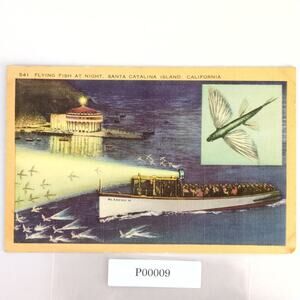 Vtg 1942 Linen Postcard Flying Fish At Night Santa Catalina Island California